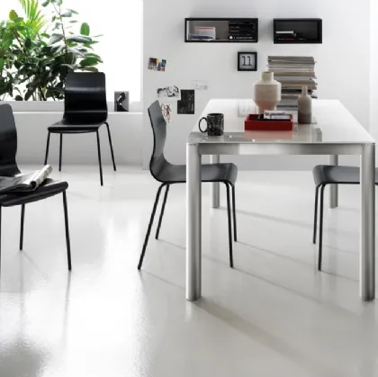 Sedia Endless in legno laccato di Scavolini