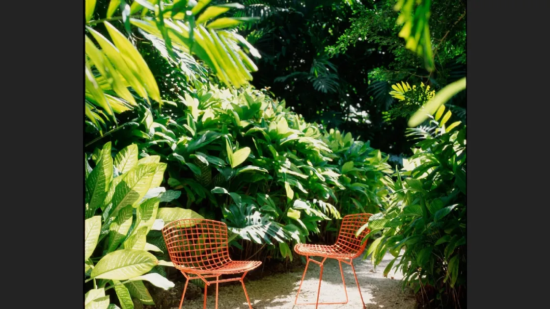 Sedia Bertoia Side Chair Outdoor di Knoll