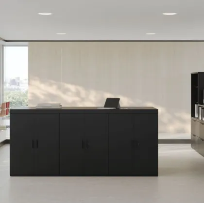 Mobile Ufficio Series 2 cabinets di Knoll